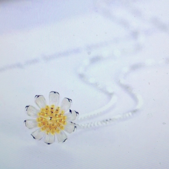 Daisy necklace - Picture 1 of 2